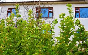 Guesthouse Kalfafellsstadur